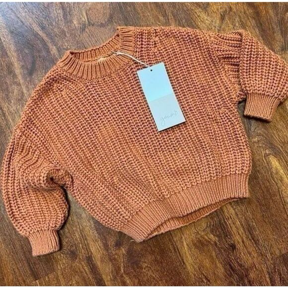 NWT Goumi Kids Clay Chunky Knit Toddler Sweater SZ 3-4T Organic Cotton Orange - Picture 1 of 3